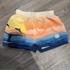 Molo Swim Trunks 18/24M